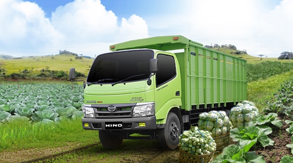 Harga Hino Dutro 300